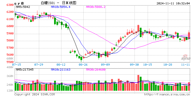 光大期货：11月11日软商品日报