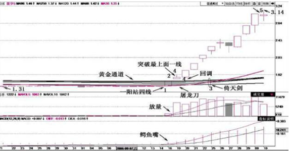 一位成功的投资人：巴菲特股票估值如此成功，我们普通散户能否效仿？原来钱是要这样赚来的